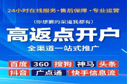 SEM代理助力品牌：案例解析与优化策略